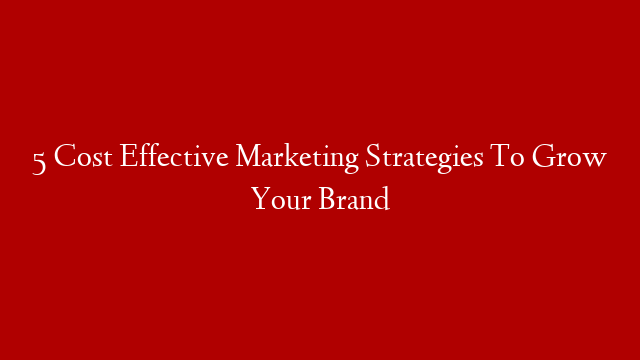 5 Cost Effective Marketing Strategies To Grow Your Brand post thumbnail image