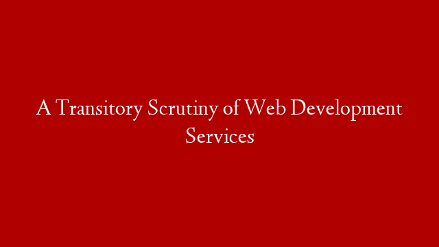 A Transitory Scrutiny of Web Development Services