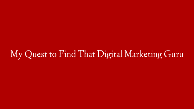 My Quest to Find That Digital Marketing Guru