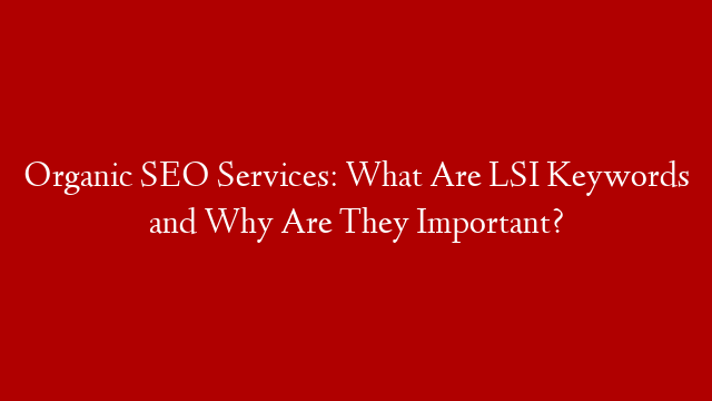 Organic SEO Services: What Are LSI Keywords and Why Are They Important?