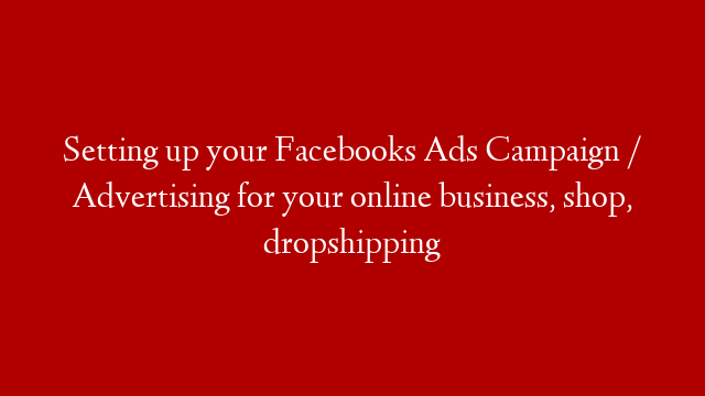 Setting up your Facebooks Ads Campaign / Advertising for your online business, shop, dropshipping