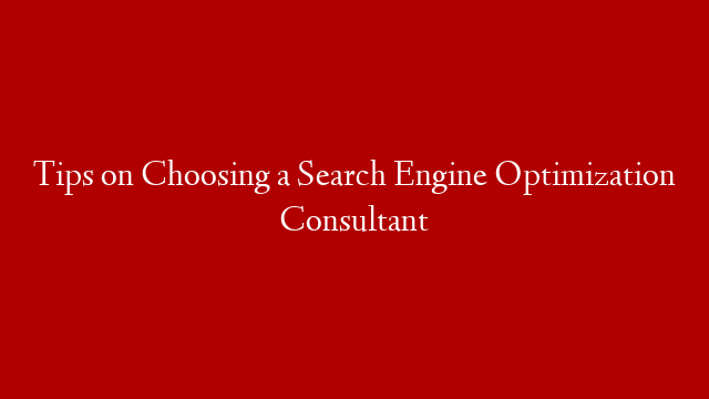 Tips on Choosing a Search Engine Optimization Consultant