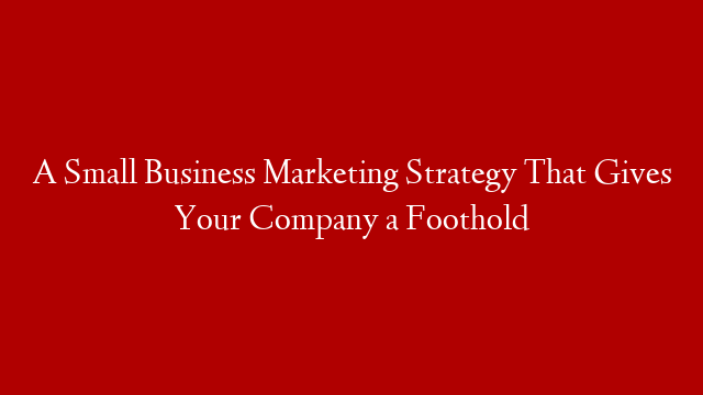 A Small Business Marketing Strategy That Gives Your Company a Foothold post thumbnail image