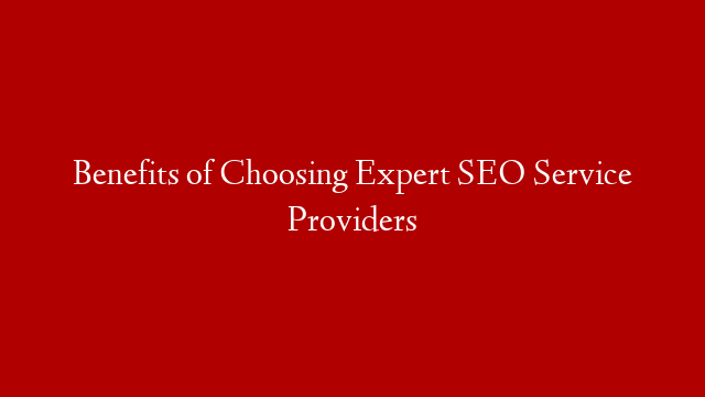 Benefits of Choosing Expert SEO Service Providers