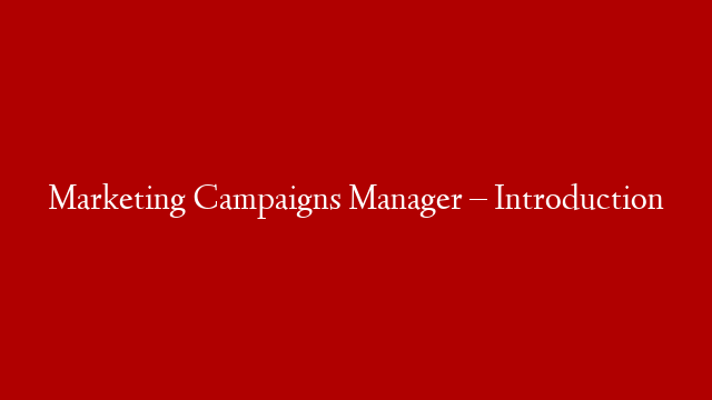 Marketing Campaigns Manager – Introduction post thumbnail image