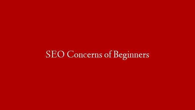 SEO Concerns of Beginners