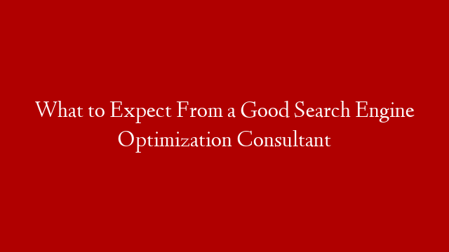 What to Expect From a Good Search Engine Optimization Consultant