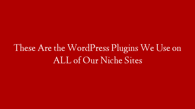 These Are the WordPress Plugins We Use on ALL of Our Niche Sites post thumbnail image