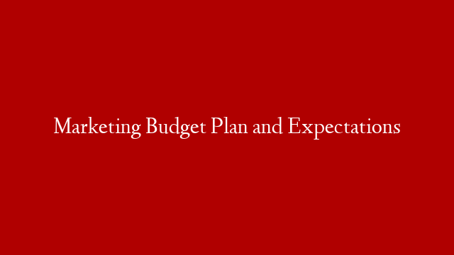 Marketing Budget Plan and Expectations