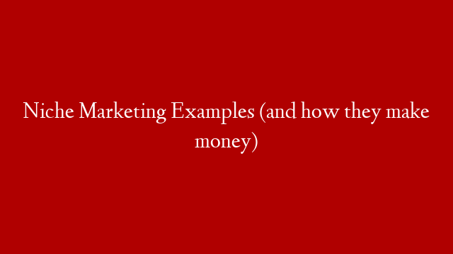 Niche Marketing Examples (and how they make money)