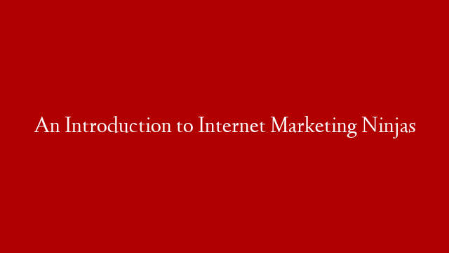 An Introduction to Internet Marketing Ninjas post thumbnail image