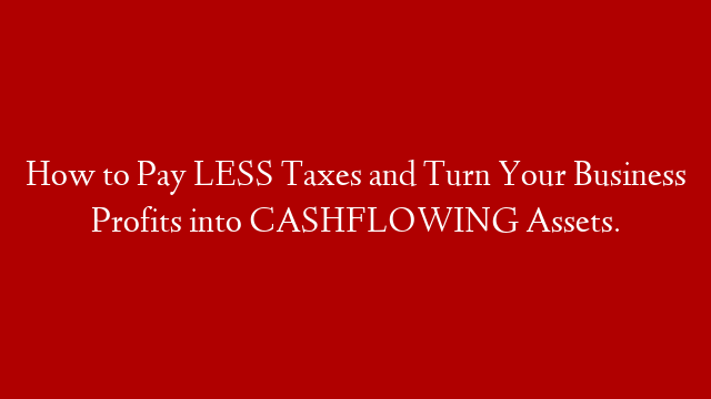 How to Pay LESS Taxes and Turn Your Business Profits into CASHFLOWING Assets.