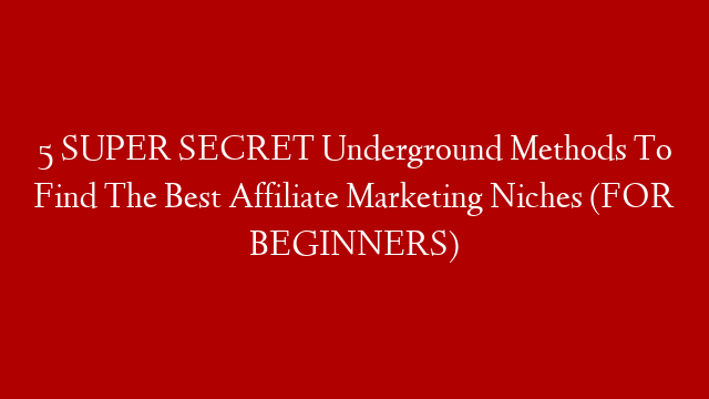 5 SUPER SECRET Underground Methods To Find The Best Affiliate Marketing Niches (FOR BEGINNERS)