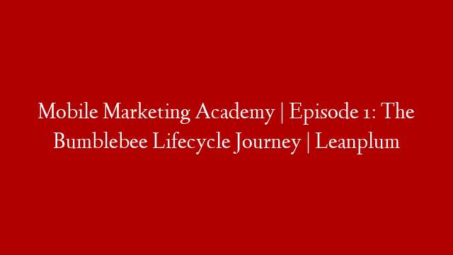 Mobile Marketing Academy | Episode 1: The Bumblebee Lifecycle Journey | Leanplum