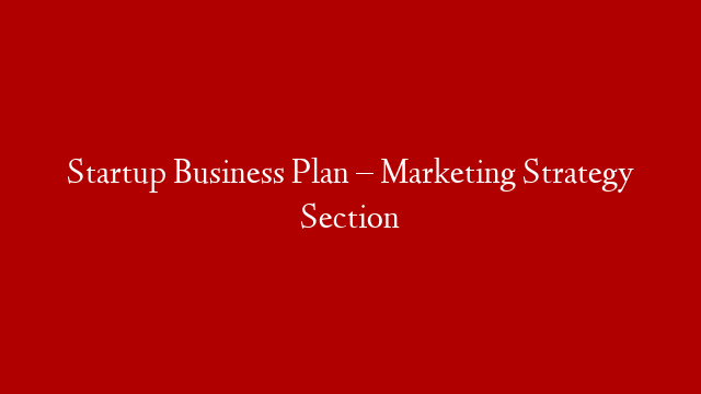 Startup Business Plan – Marketing Strategy Section
