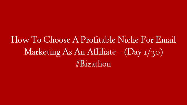How To Choose A Profitable Niche For Email Marketing As An Affiliate – (Day 1/30) #Bizathon