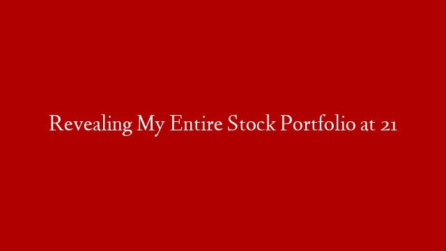 Revealing My Entire Stock Portfolio at 21