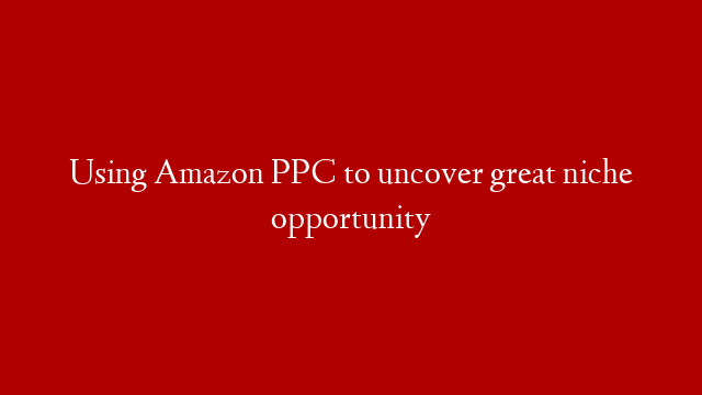 Using Amazon PPC to uncover great niche opportunity