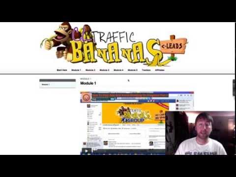 CL Traffic Bananas Review and Bonuses – Craigslist Traffic Bananas Review post thumbnail image