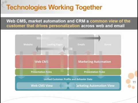 Customer Acquisition with Web CMS & Marketing Automation post thumbnail image