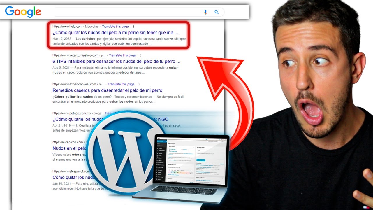 SEO para WordPress [Actualizado a 2022] post thumbnail image