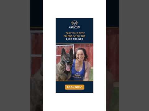 Html5 Animated Banner ads for Valkyrie Dog Training LLC post thumbnail image