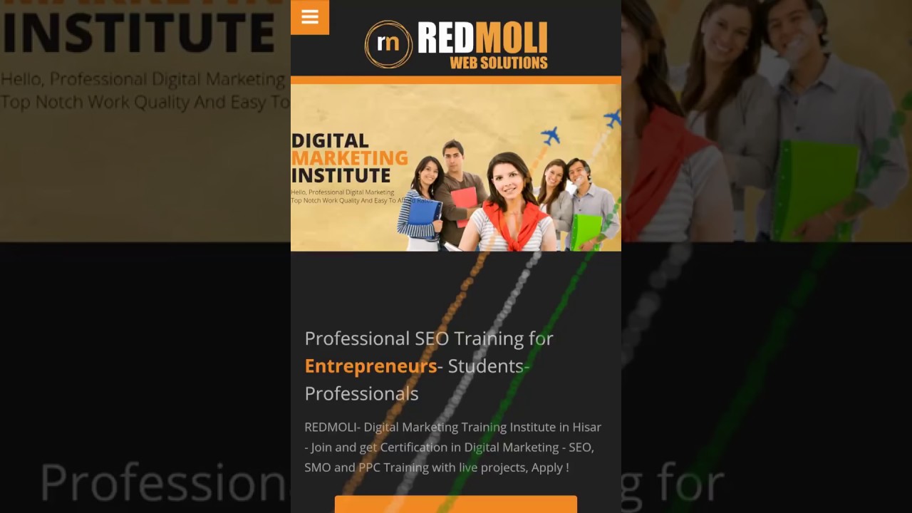 Digital Marketing Training Service Institute Hisar | SEO,PPC,SMO-REDMOLI post thumbnail image