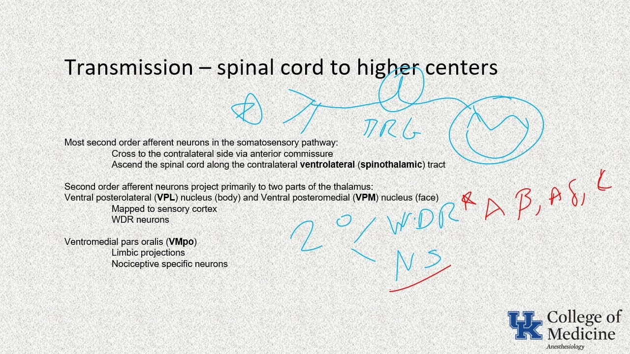 Pain ITE Keywords – (Dr. Craig) post thumbnail image