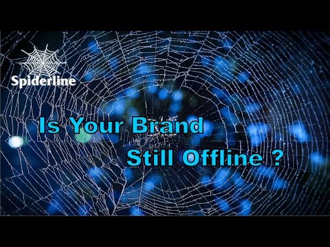 Spiderline – Shaping Digital Transformations | Best Web Designing Company | post thumbnail image