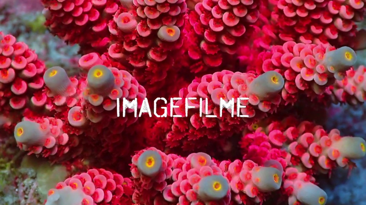 Imagefilm anker & meehr Video Marketing post thumbnail image