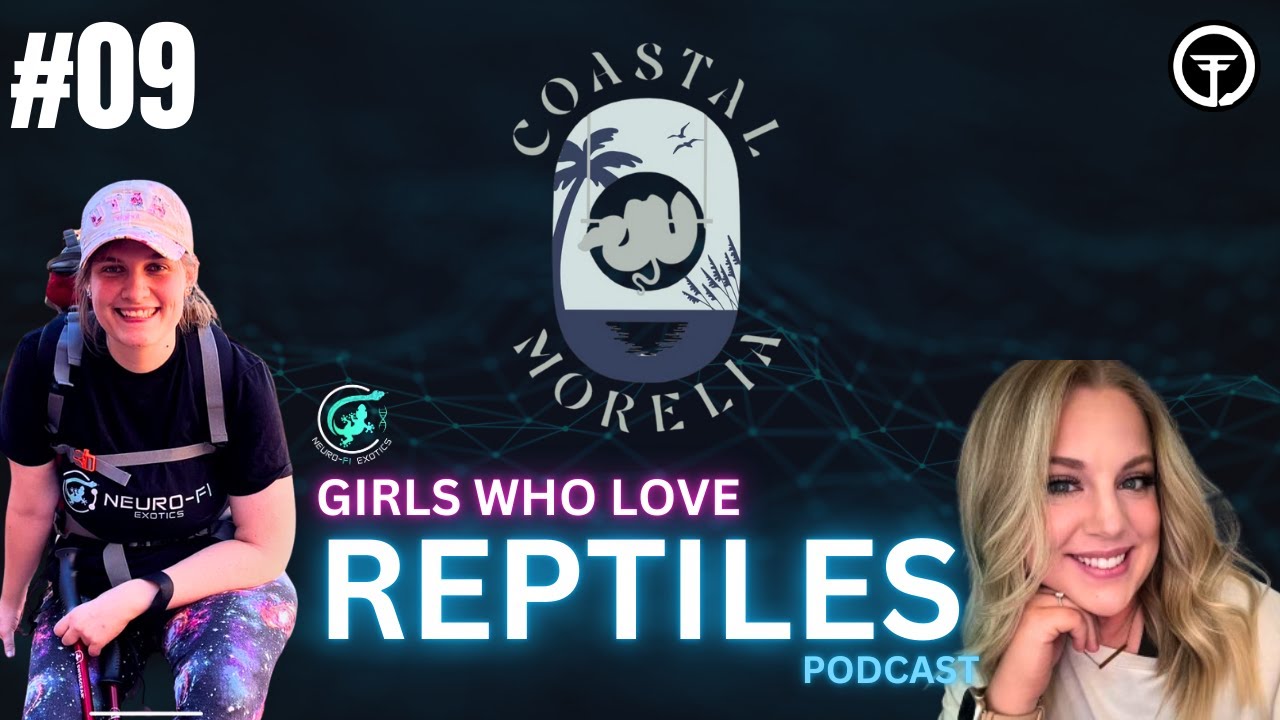 WHY ARE GREEN TREE PYTHON HATCHLINGS SO HARD TO ESTABLISH? | GIRLS WHO LOVE REPTILES PODCAST LIVE post thumbnail image